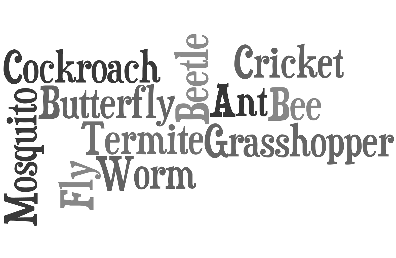 img/word_cloud_questions_3/insect_2.png